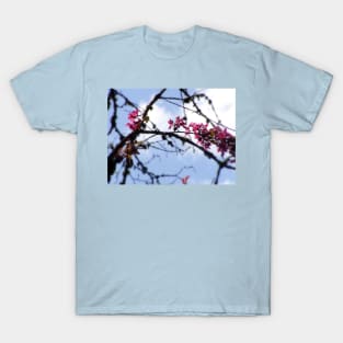 red Malus Radiant crab apple blossoms #8 T-Shirt